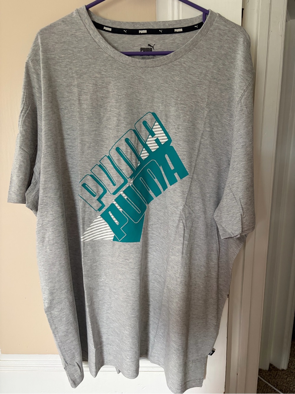 Puma Grey Short-Sleeve Tee with Teal Logo